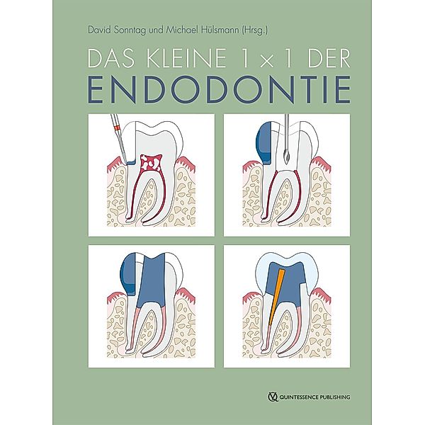 Das kleine 1x1 der Endodontie, David Sonntag, Michael Hülsmann