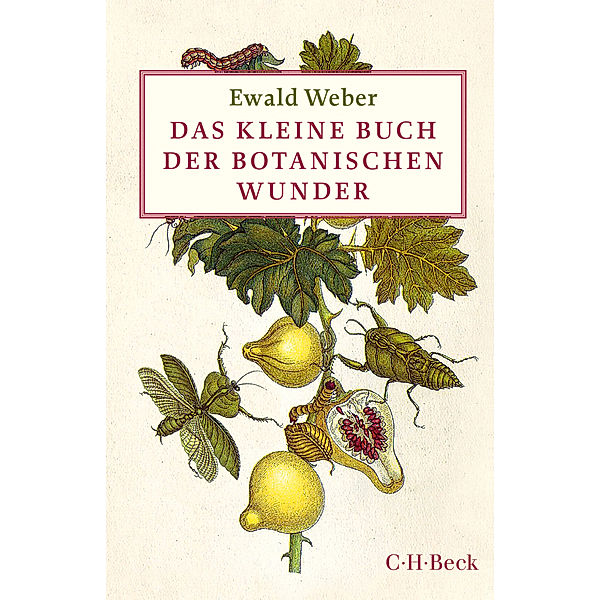 Das kleine Buch der botanischen Wunder, Ewald Weber