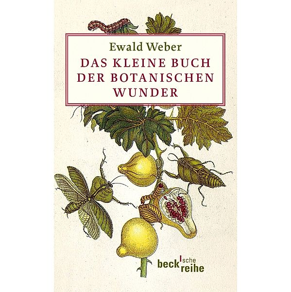 Das kleine Buch der botanischen Wunder / Beck'sche Reihe Bd.6033, Ewald Weber