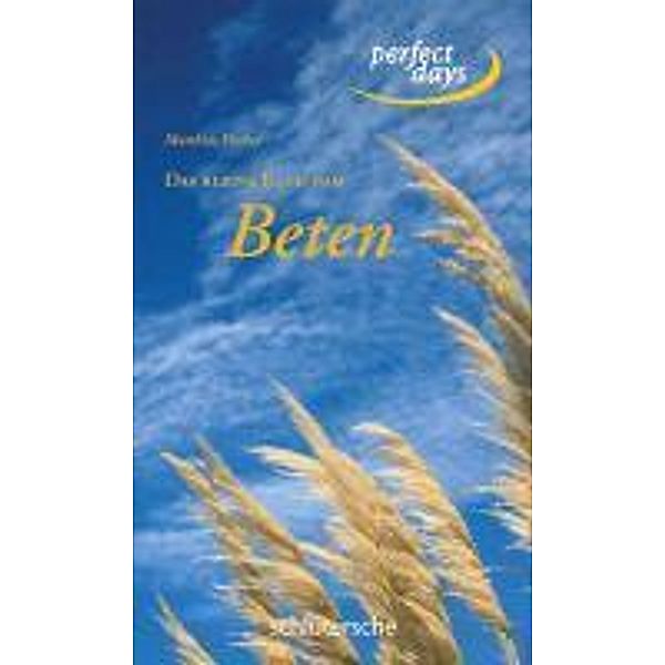 Das kleine Buch vom Beten / perfect days, Matthias Fischer