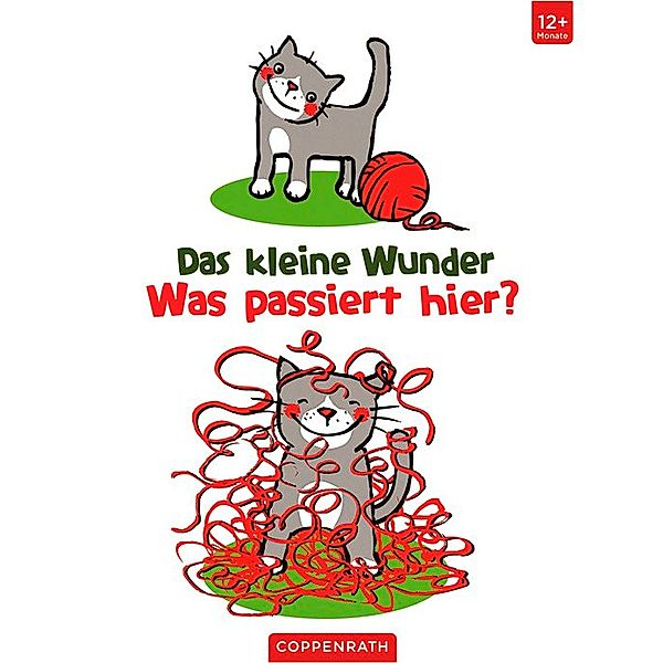 Das kleine Wunder - Was passiert hier?, Anna Taube, Maike Taddicken