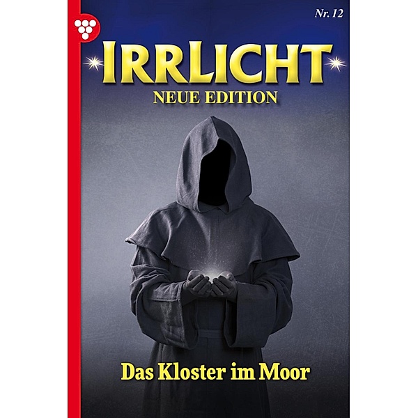 Das Kloster im Moor / Irrlicht - Neue Edition Bd.12, Dorothee Flory