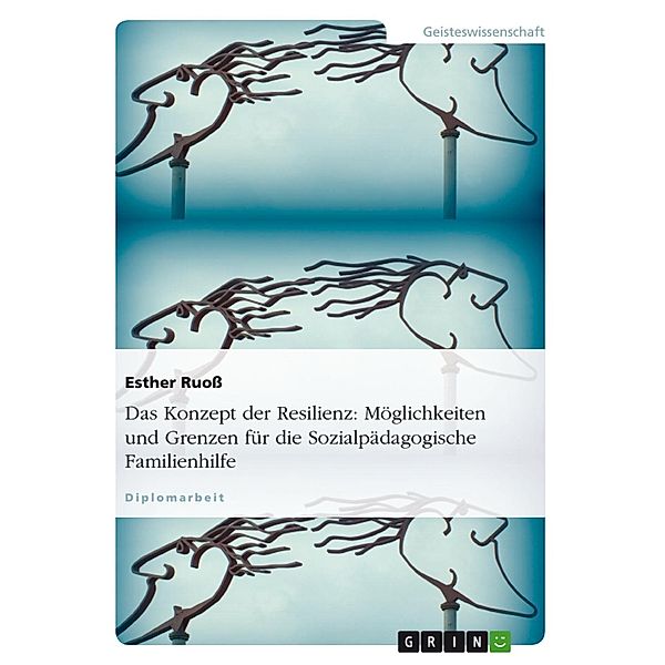 Das Konzept der Resilienz - Möglichkeiten und Grenzen für die Sozialpädagogische Familienhilfe, Esther Ruoß