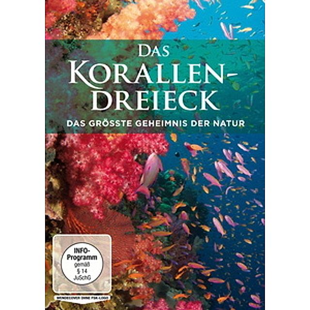 Das Korallendreieck Dvd Jetzt Bei Weltbild De Online Bestellen