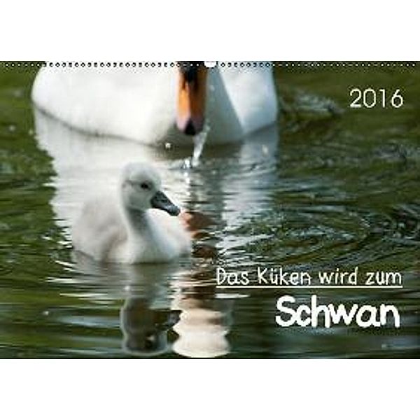 Das Küken wird zum Schwan CH-Version (Wandkalender 2016 DIN A2 quer), Roland T. Frank