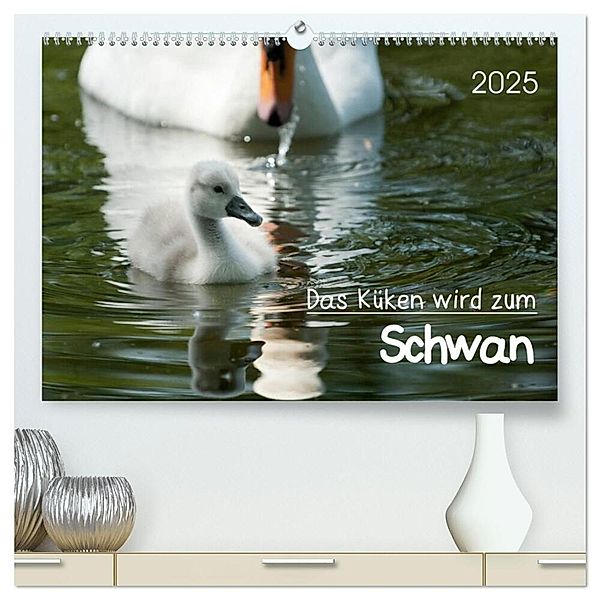 Das Küken wird zum Schwan (hochwertiger Premium Wandkalender 2025 DIN A2 quer), Kunstdruck in Hochglanz, Calvendo, Roland T. Frank