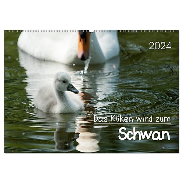 Das Küken wird zum Schwan (Wandkalender 2024 DIN A2 quer), CALVENDO Monatskalender, Roland T. Frank