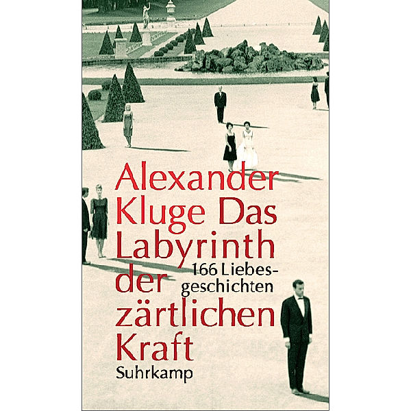 Das Labyrinth der zärtlichen Kraft, m. DVD, Alexander Kluge