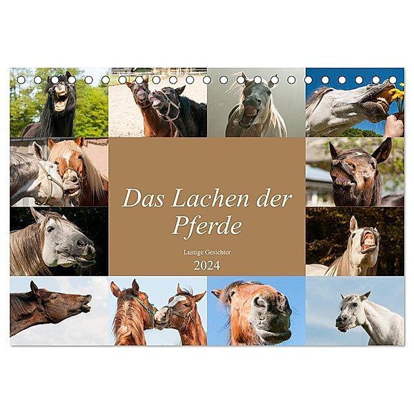 Das Lachen der Pferde - Lustige Gesichter (Tischkalender 2024 DIN A5 quer), CALVENDO Monatskalender, Meike Bölts