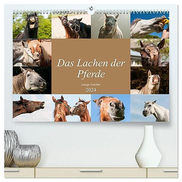 Das Lachen der Pferde - Lustige Gesichter (hochwertiger Premium Wandkalender 2024 DIN A2 quer), Kunstdruck in Hochglanz, Meike Bölts