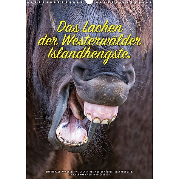 Das Lachen der Westerwälder Islandhengste. (Wandkalender 2020 DIN A3 hoch), Ingo Gerlach