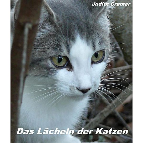 Das Lächeln der Katzen, Judith Cramer