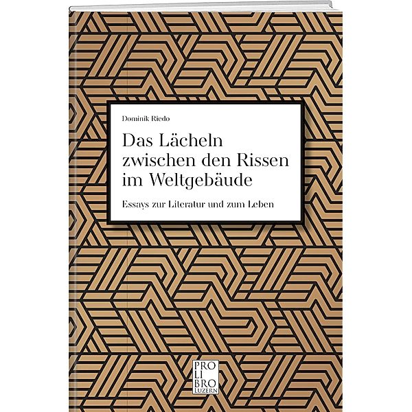 Das Lächeln zwischen den Rissen im Weltgebäude, Dominik Riedo