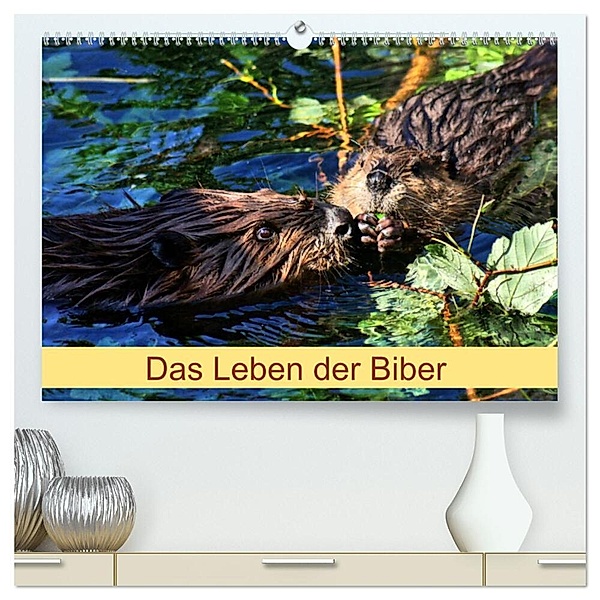 Das Leben der Biber (hochwertiger Premium Wandkalender 2024 DIN A2 quer), Kunstdruck in Hochglanz, Kattobello