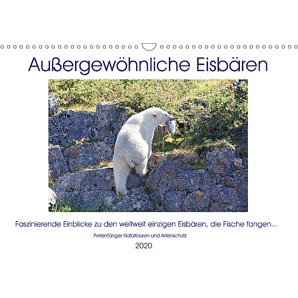 Das Leben der etwas anderen Eisbären! (Wandkalender 2020 DIN A3 quer), Sabine Bengtsson / Perlenfänger Naturtouren & Artenschutz