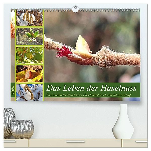 Das Leben der Haselnuss (hochwertiger Premium Wandkalender 2024 DIN A2 quer), Kunstdruck in Hochglanz, Michaela Schimmack