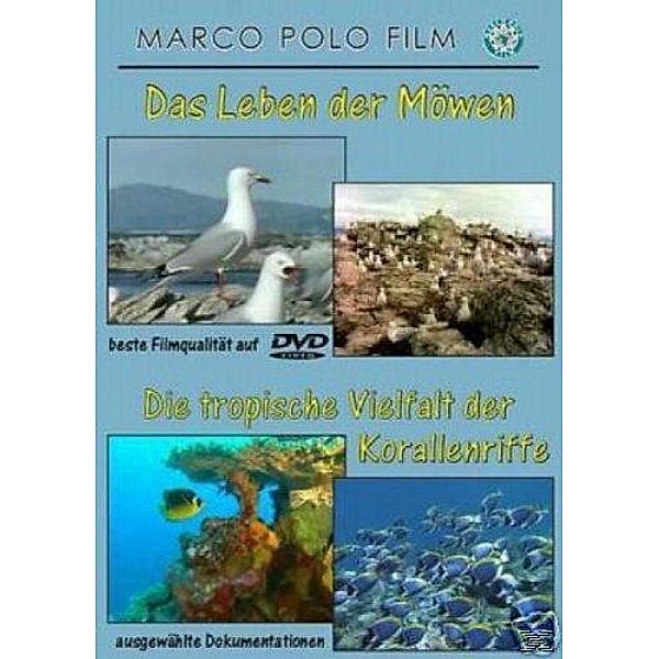 Das Leben der Möven / Die tropische Vielfalt der Korallenriffe, Marco Polo Film