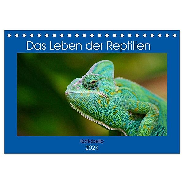 Das Leben der Reptilien (Tischkalender 2024 DIN A5 quer), CALVENDO Monatskalender, Kattobello