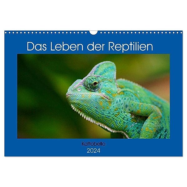 Das Leben der Reptilien (Wandkalender 2024 DIN A3 quer), CALVENDO Monatskalender, Kattobello