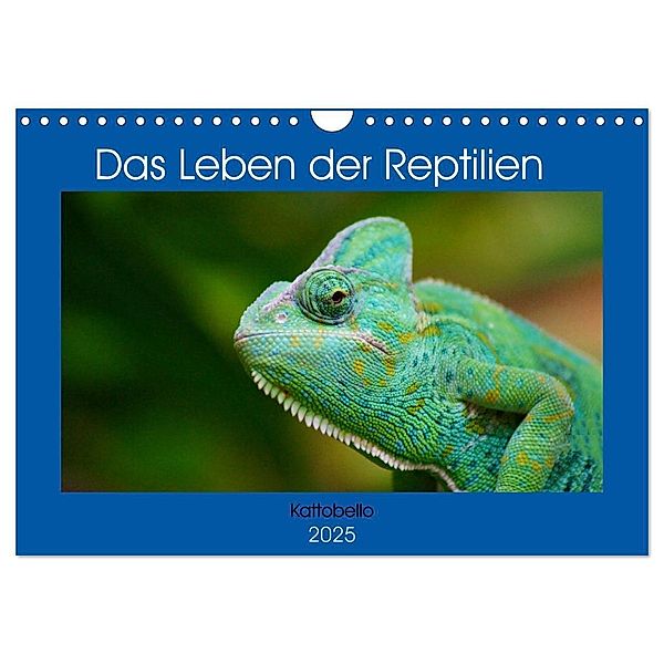 Das Leben der Reptilien (Wandkalender 2025 DIN A4 quer), CALVENDO Monatskalender, Calvendo, Kattobello