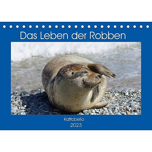 Das Leben der Robben (Tischkalender 2023 DIN A5 quer), Kattobello