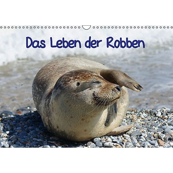 Das Leben der Robben (Wandkalender 2014 DIN A4 quer), kattobello