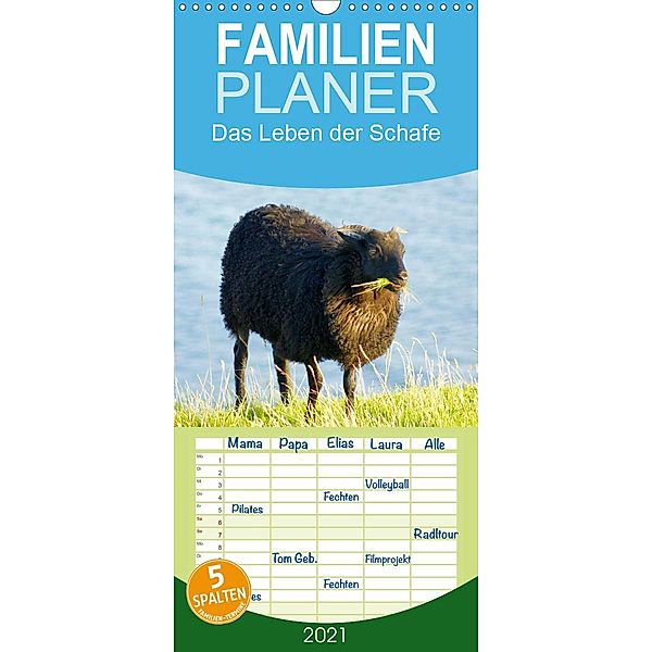 Das Leben der Schafe - Familienplaner hoch (Wandkalender 2021 , 21 cm x 45 cm, hoch), Kattobello