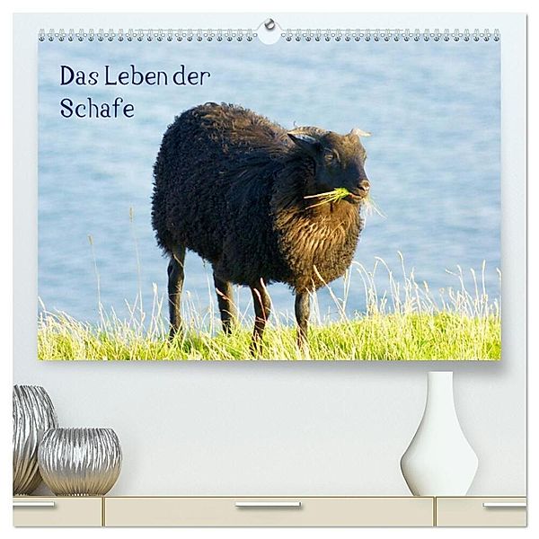 Das Leben der Schafe (hochwertiger Premium Wandkalender 2024 DIN A2 quer), Kunstdruck in Hochglanz, Kattobello
