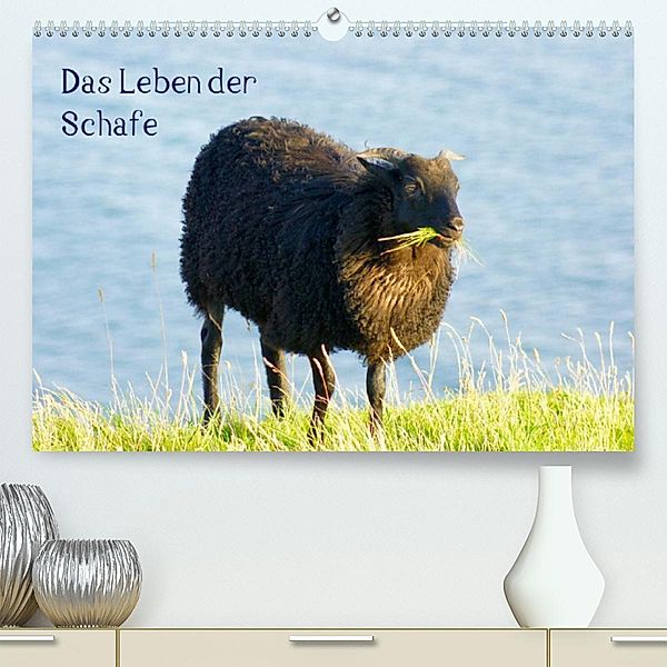 Das Leben der Schafe (Premium, hochwertiger DIN A2 Wandkalender 2023, Kunstdruck in Hochglanz), Kattobello