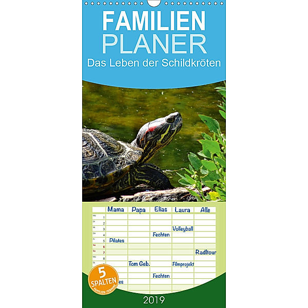 Das Leben der Schildkröten - Familienplaner hoch (Wandkalender 2019 , 21 cm x 45 cm, hoch)