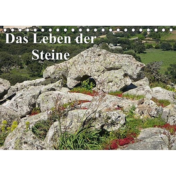 Das Leben der Steine 2014 (Tischkalender 2014 DIN A5 quer), Gräfin Kristin von Montfort, Kristin Gräfin  von Montfort