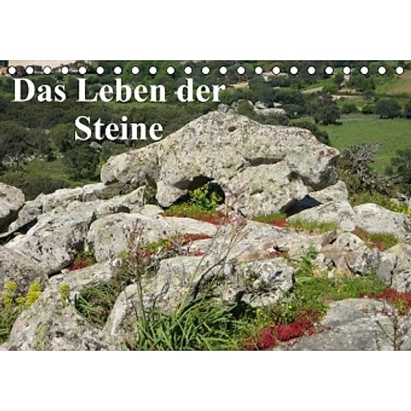 Das Leben der Steine 2015 (Tischkalender 2015 DIN A5 quer), Gräfin Kristin von Montfort, Kristin Gräfin  von Montfort