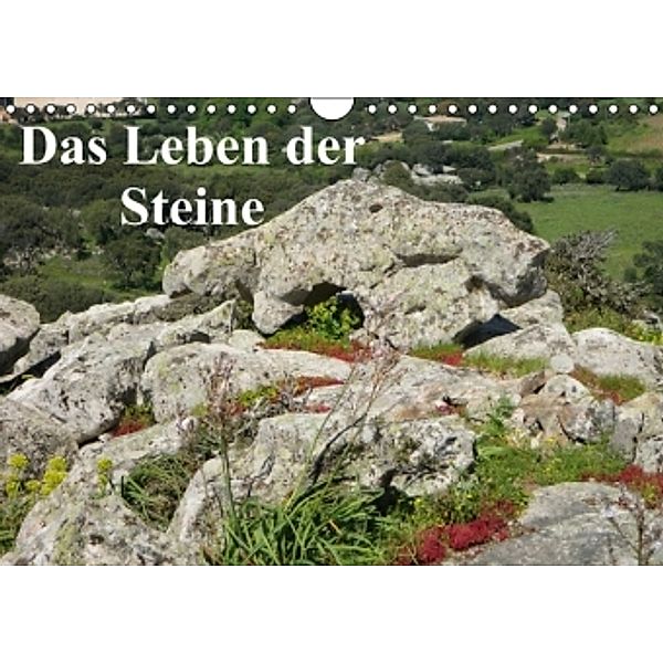 Das Leben der Steine 2015 (Wandkalender 2015 DIN A4 quer), Gräfin Kristin von Montfort, Kristin Gräfin  von Montfort