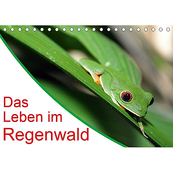 Das Leben im Regenwald (Tischkalender 2019 DIN A5 quer), Jana Gerhardt