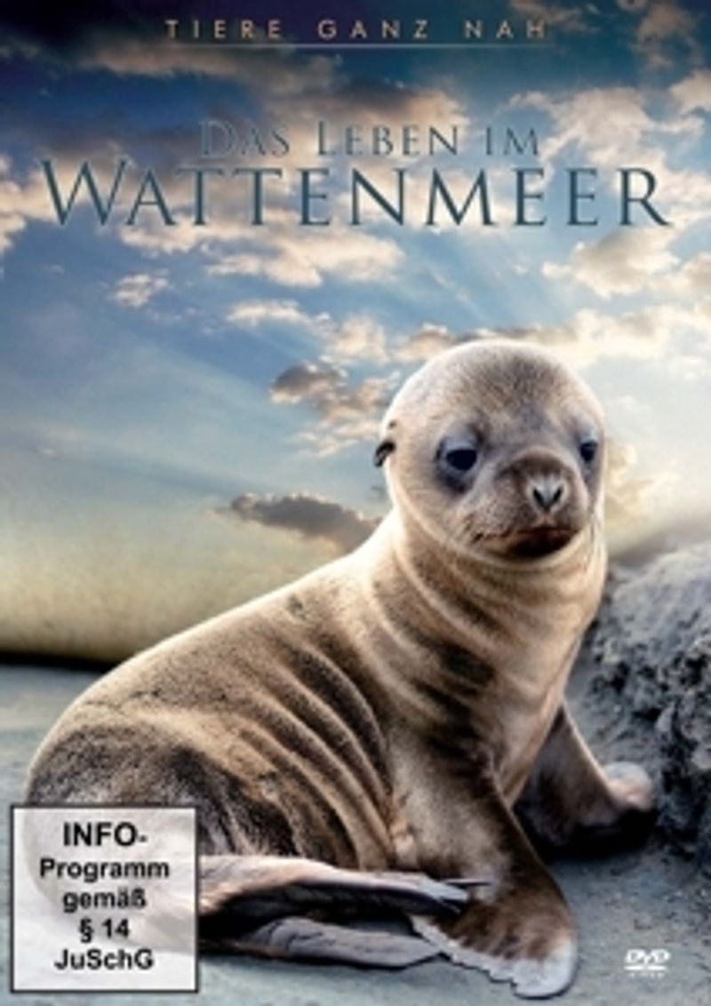 Das Leben Im Wattenmeer Dvd Bei Weltbild De Bestellen