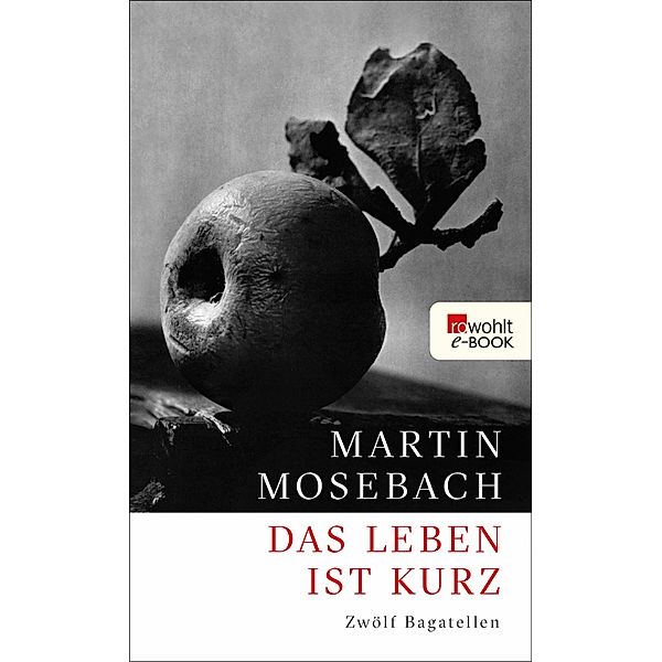 Das Leben ist kurz, Martin Mosebach