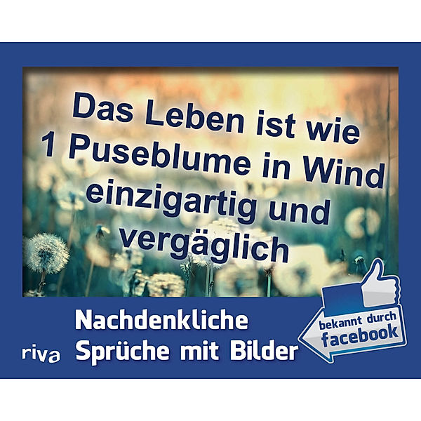 Das Leben ist wie 1 Puseblume in Wind einzigartig und vergäglich, Postkartenaufsteller, Sebastian Zawrel