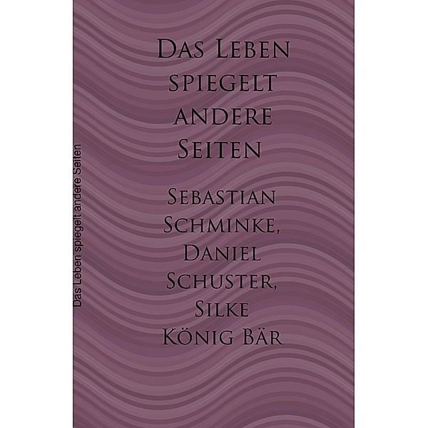 Das Leben spiegelt andere Seiten, Sebastian Schminke, Daniel Schuster