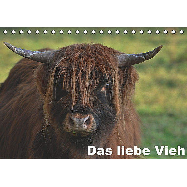 Das liebe Vieh (Tischkalender 2019 DIN A5 quer), Rainer Nowak