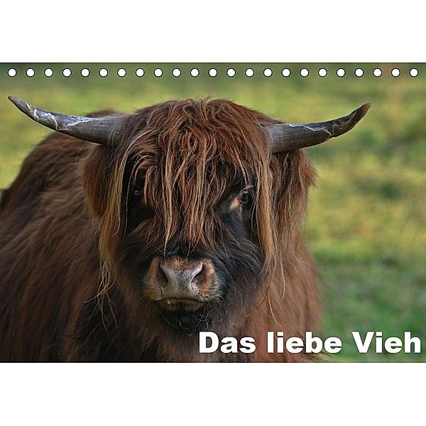 Das liebe Vieh (Tischkalender 2021 DIN A5 quer), Rainer Nowak