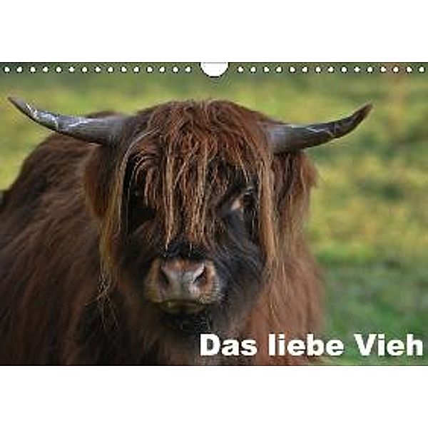 Das liebe Vieh (Wandkalender 2016 DIN A4 quer), Rainer Nowak