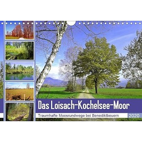 Das Loisach-Kochelsee-Moor Traumhafte Moosrundwege bei Benediktbeuern (Wandkalender 2020 DIN A4 quer), Michaela Schimmack