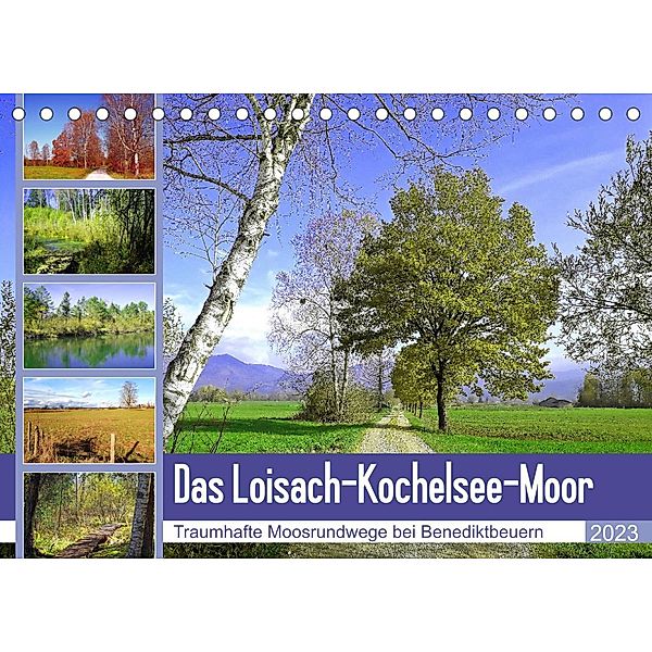 Das Loisach-Kochelsee-Moor Traumhafte Moosrundwege bei Benediktbeuern (Tischkalender 2023 DIN A5 quer), Michaela Schimmack