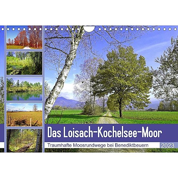 Das Loisach-Kochelsee-Moor Traumhafte Moosrundwege bei Benediktbeuern (Wandkalender 2023 DIN A4 quer), Michaela Schimmack