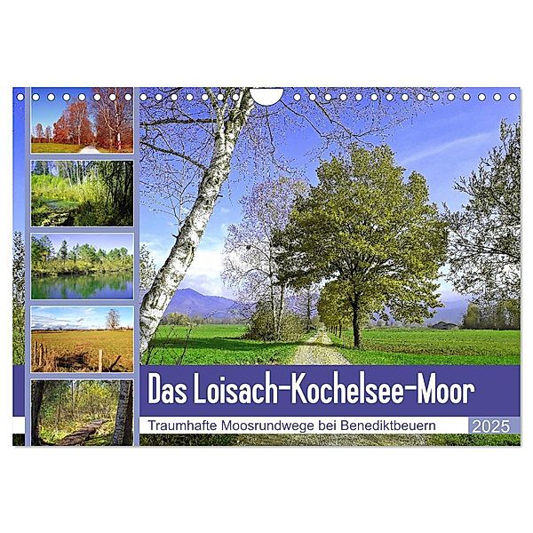 Das Loisach-Kochelsee-Moor Traumhafte Moosrundwege bei Benediktbeuern (Wandkalender 2025 DIN A4 quer), CALVENDO Monatskalender, Calvendo, Michaela Schimmack