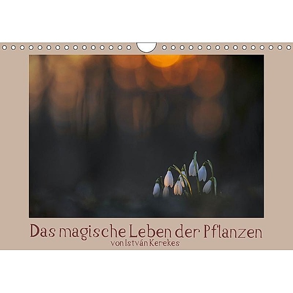 Das magische Leben der Pflanzen (Wandkalender 2017 DIN A4 quer), István Kerekes