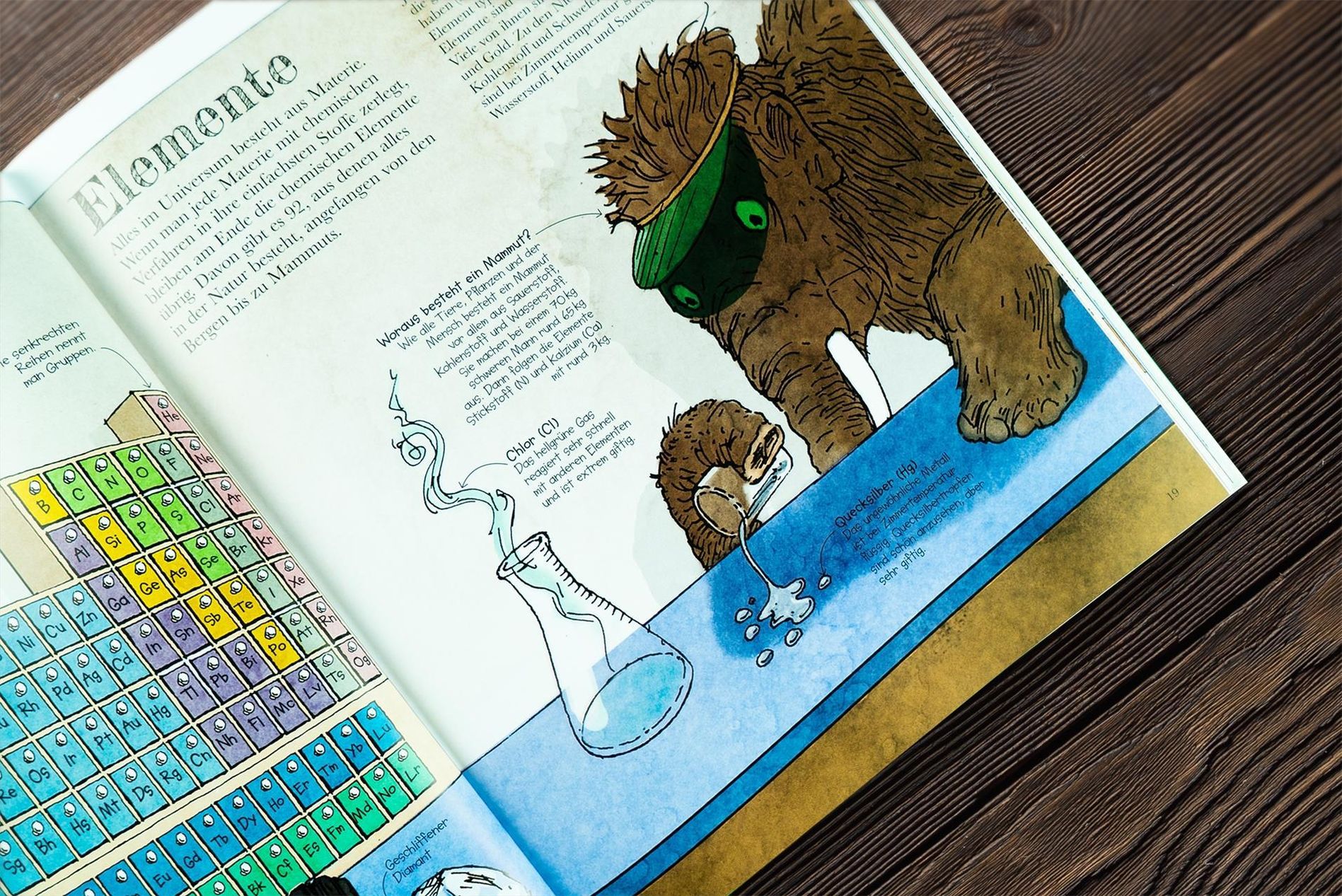 Das Mammut-Buch Naturwissenschaften Buch versandkostenfrei - Weltbild.de