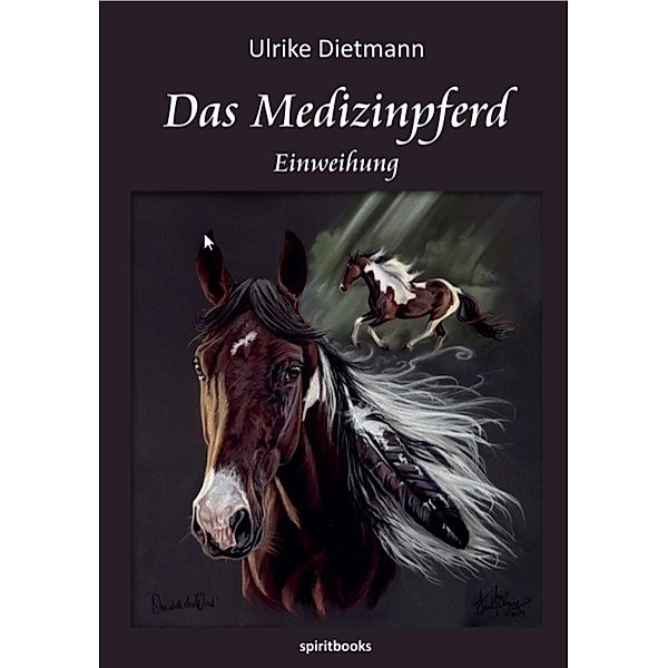 Das Medizinpferd / Das Medizinpferd Bd.1, Ulrike Dietmann
