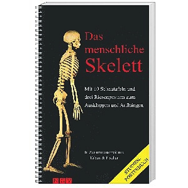 Das menschliche Skelett, Studien-Posterbuch, Peter H Abrahams, R. T. Hutchings, B. M. Logan, R. M. H. McMinn