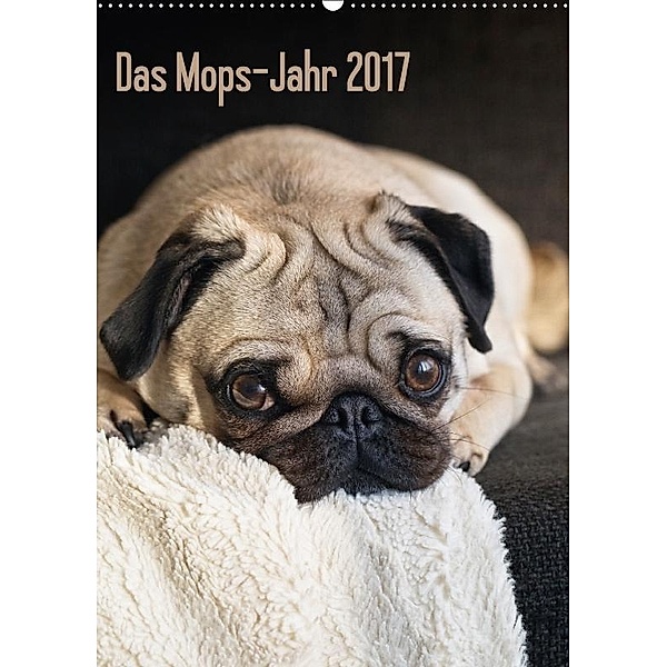 Das Mops-Jahr 2017 (Wandkalender 2017 DIN A2 hoch), Beate Zoellner